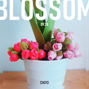 BLOSSOM B.png