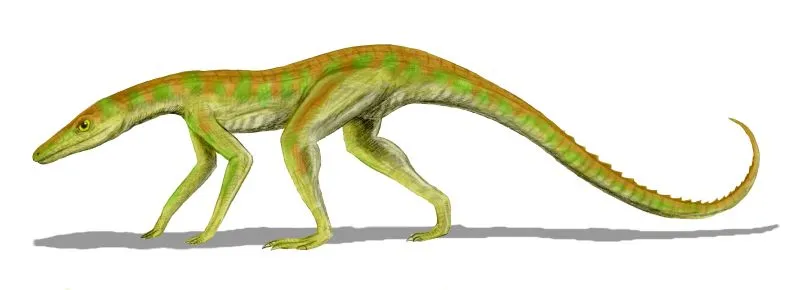 파일:Terrestrisuchus.webp