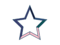 미합중국 공화국 정부기.png