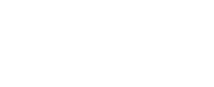 신민주당w.png