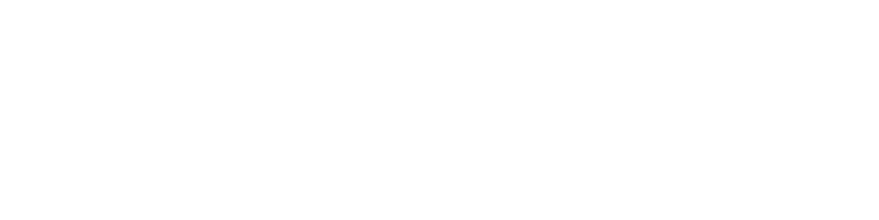 파일:새나라 공화당2.png