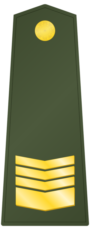난방공화국 육군 상사.png