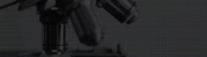 HIGHLIGHT 테크놀로지.gif