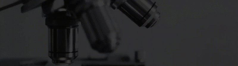 파일:HIGHLIGHT 테크놀로지.gif