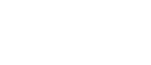 신민주당w3.png