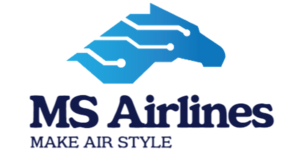 MS Air.png