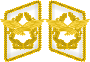 상급대장 (공군).png