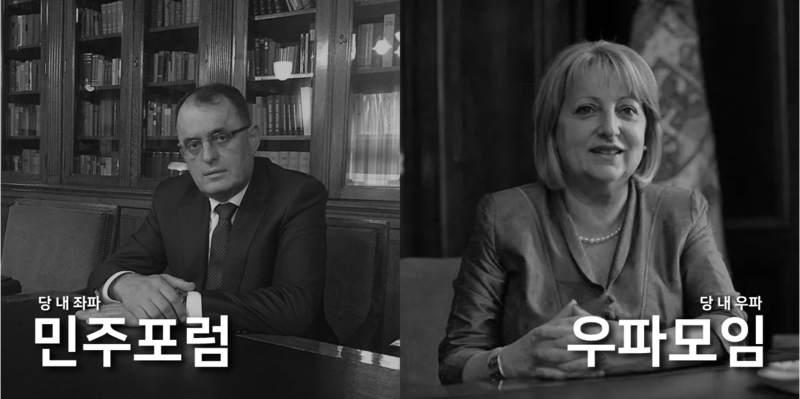 파일:사회민주당 계파 현황.png