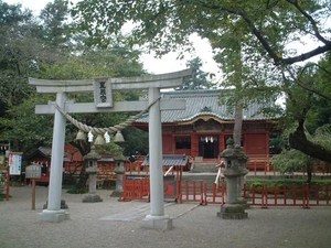 세라다 동조궁.webp