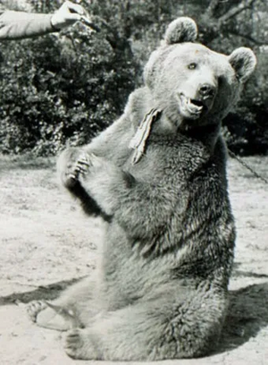 보이텍.webp