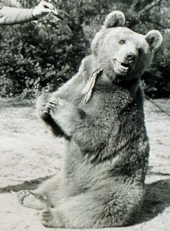 보이텍.webp