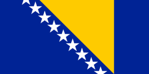Flag of Bosnia and Herzegovina.svg.png