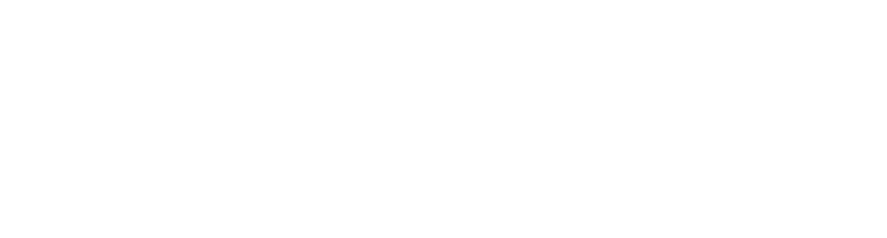 파일:국민제일당 화이트.png