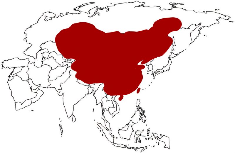 파일:대만연방지됴.jpg