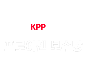 프로이센 보수당 2.png