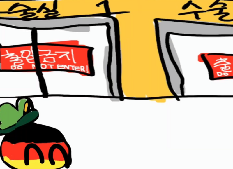 파일:독일이의수술.png