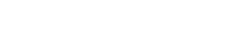 파일:선진민주당 로고 화이트.png