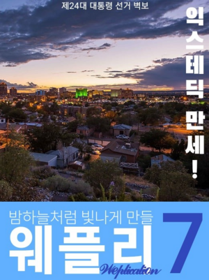 웨플리 케이션 24대 대선 포스터.PNG