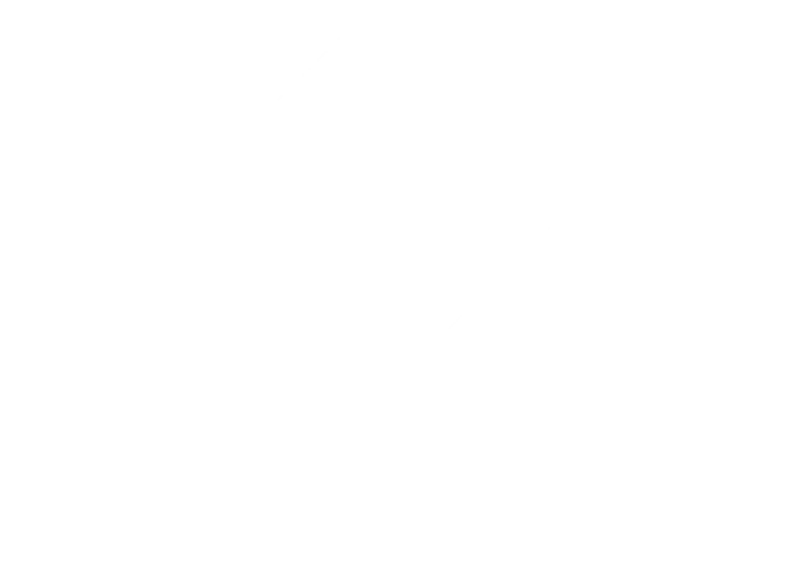 파일:국민의힘 흰색 로고타입 (산봉우리 아래서).png