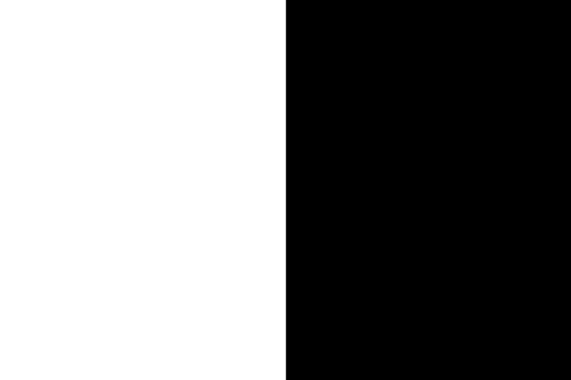 파일:극동자치국 국기.png