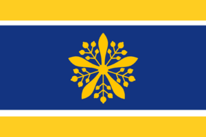 Timmy New Manchuria flag.png