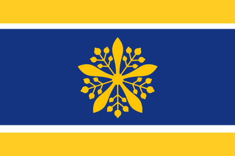 파일:Timmy New Manchuria flag.png