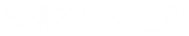 새정치민주연합 흰색 로고타입.png
