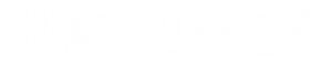 새정치민주연합 흰색 로고타입.png
