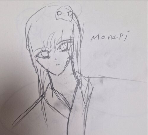 모나피.jpg