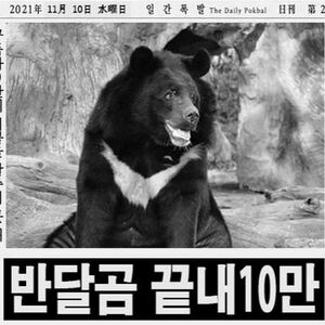 반달곰 동무.jpg