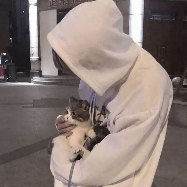 파일:젠클.jpeg