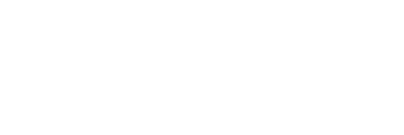 파일:자유민주당 흰색 로고타입.png