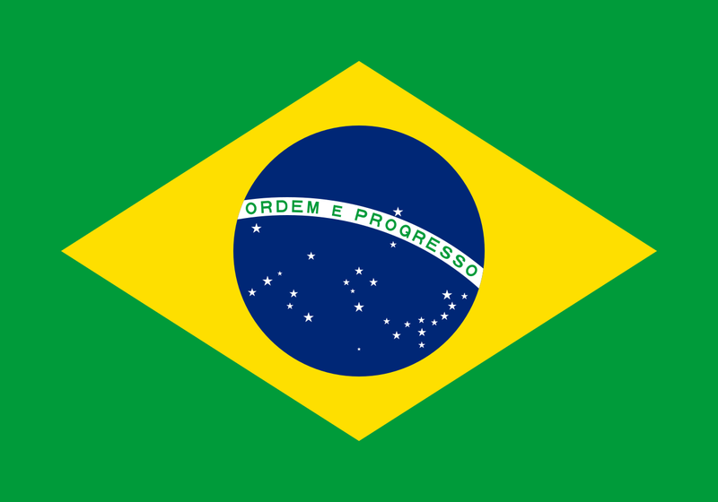 파일:브라질 국기.svg.png