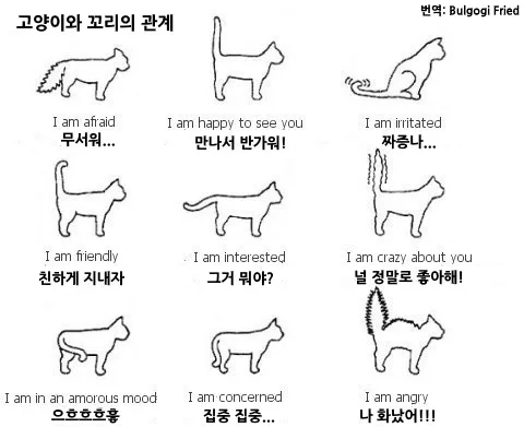 파일:WaZale8xWNUEPw-58gs2OMcB2mGCwEm75Ua-Z4V9jlEiNpgTEYc2FcE91qdm0rHm11MGXH7XXLH5kr1uBfqiNE-NqabsFNsDTD6bU8x2Yc4MIWB5cEUHPDSShTT1GF6 AtoMOPZjjcIhIBE-SEahXw.webp