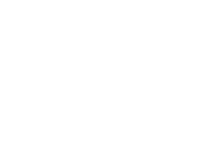Project Z 제목 분할.png