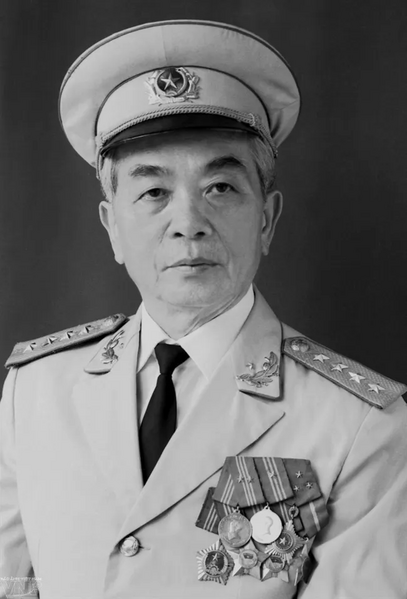 파일:보응우옌잡.webp