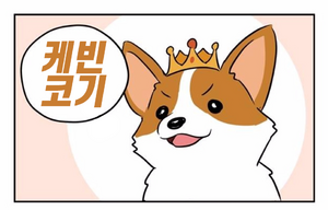 케빈코기.png