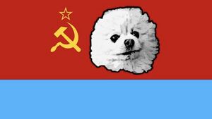 고색봇인민공화국국기기.jpeg