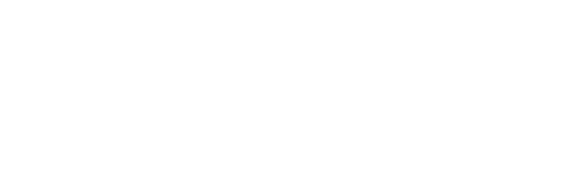 파일:벚흩 입헌 백색 로고.png