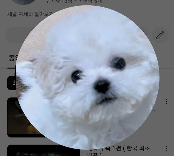 파일:색시한 감자.jpeg