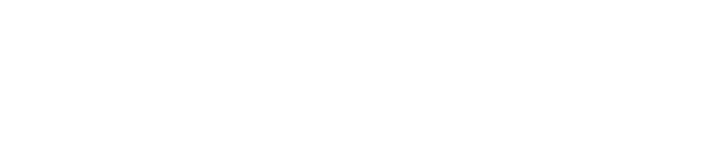 파일:신한민주당 로고 화이트.png