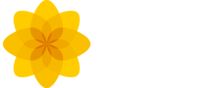 Ukplaidcymruwhite.png