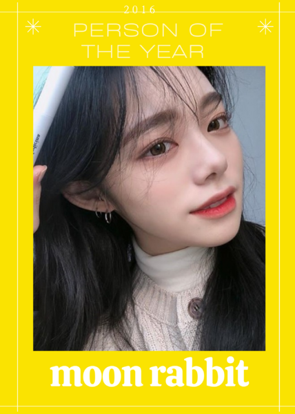 파일:올해의 인물 2016년 달토끼.png