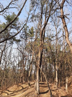 목산옾프.jpg