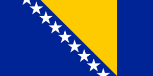 보스니아의 국기.svg.png