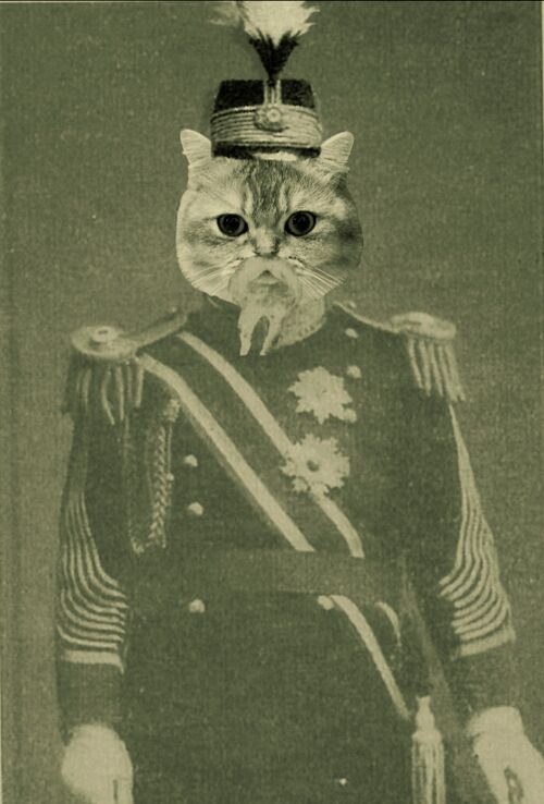 조병무 사진.jpg