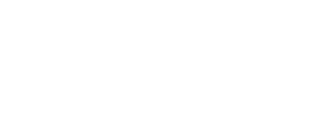 VNN 로고 화이트.png