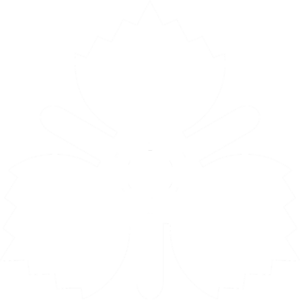 가라후토 문장.png