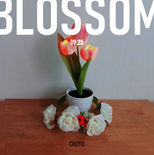 BLOSSOM A.png